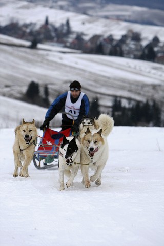 Kynologická revue - www.dogsk.sk