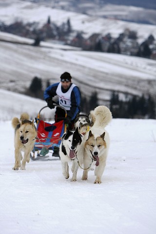 Kynologická revue - www.dogsk.sk