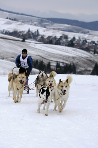 Kynologická revue - www.dogsk.sk