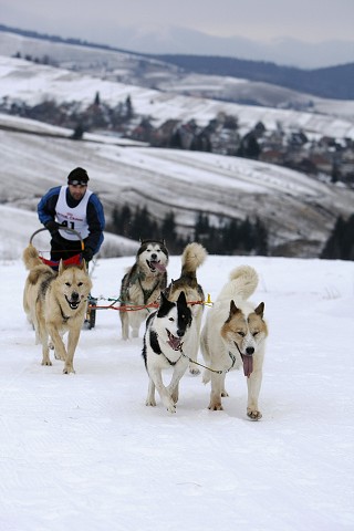 Kynologická revue - www.dogsk.sk