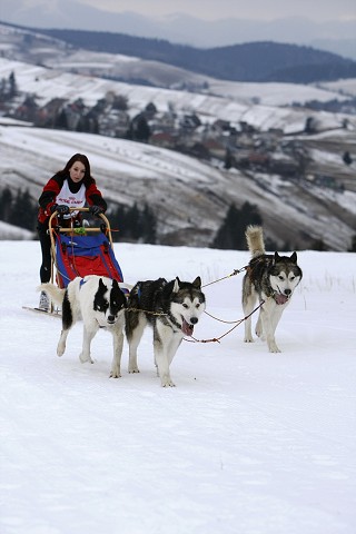 Kynologická revue - www.dogsk.sk