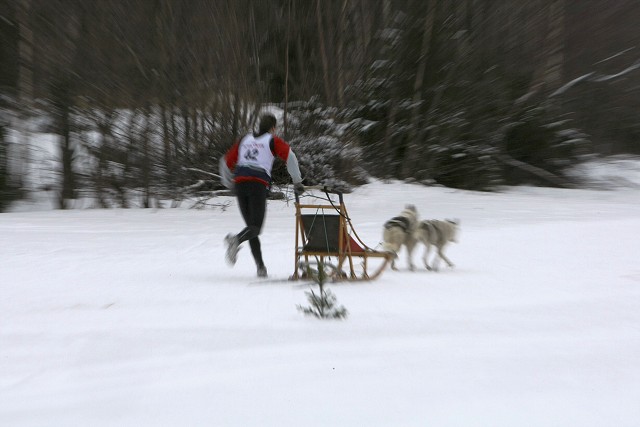 Kynologická revue - www.dogsk.sk