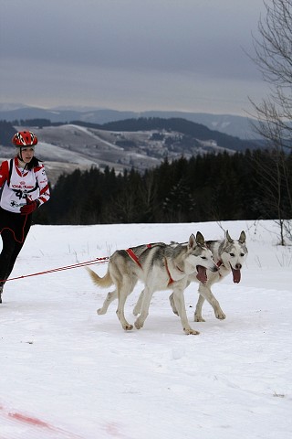 Kynologická revue - www.dogsk.sk