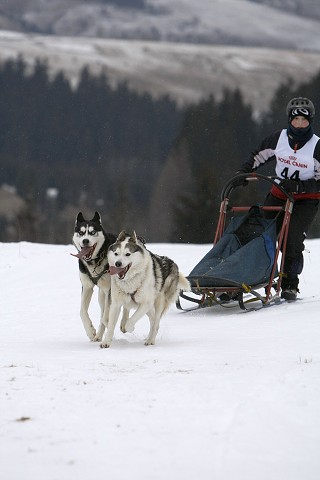 Kynologická revue - www.dogsk.sk