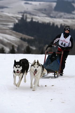 Kynologická revue - www.dogsk.sk