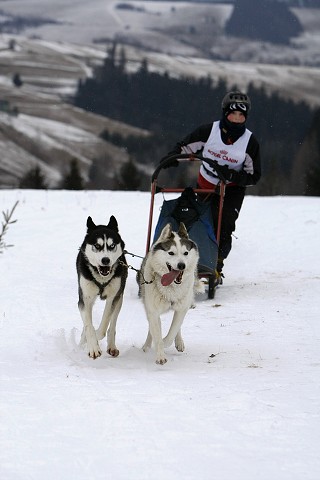 Kynologická revue - www.dogsk.sk