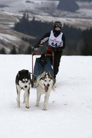 Kynologická revue - www.dogsk.sk