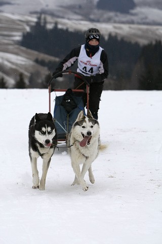 Kynologická revue - www.dogsk.sk