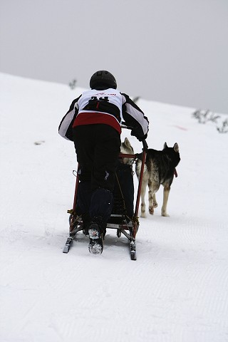 Kynologická revue - www.dogsk.sk