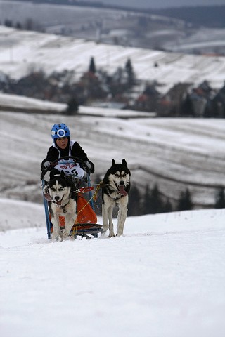 Kynologická revue - www.dogsk.sk