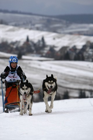 Kynologická revue - www.dogsk.sk