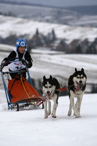 Kynologická revue - www.dogsk.sk
