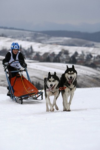 Kynologická revue - www.dogsk.sk