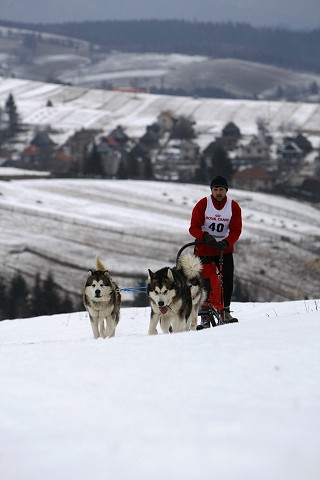 Kynologická revue - www.dogsk.sk