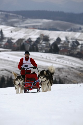 Kynologická revue - www.dogsk.sk