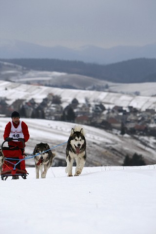 Kynologická revue - www.dogsk.sk
