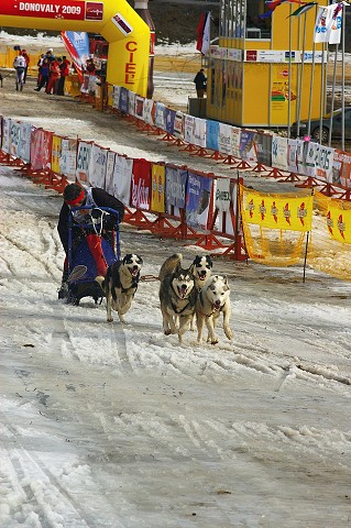 Kynologická revue * www.dogsk.sk * www.eurodog.eu