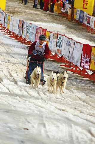 Kynologická revue * www.dogsk.sk * www.eurodog.eu