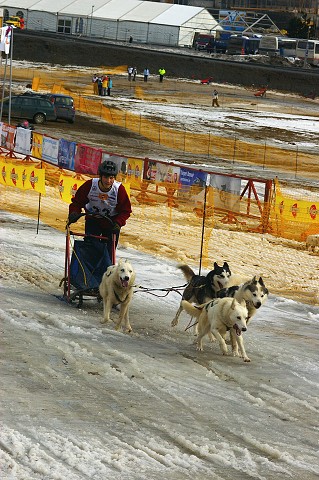 Kynologická revue * www.dogsk.sk * www.eurodog.eu