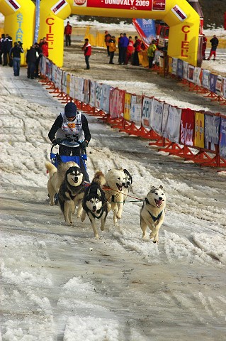 Kynologická revue * www.dogsk.sk * www.eurodog.eu