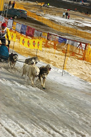 Kynologická revue * www.dogsk.sk * www.eurodog.eu