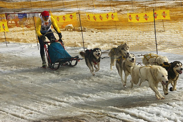 Kynologická revue * www.dogsk.sk * www.eurodog.eu