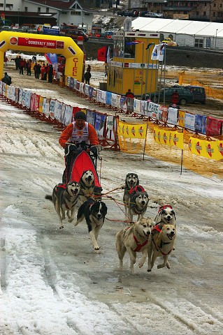 Kynologická revue * www.dogsk.sk * www.eurodog.eu