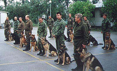 army