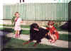 Beauceron
