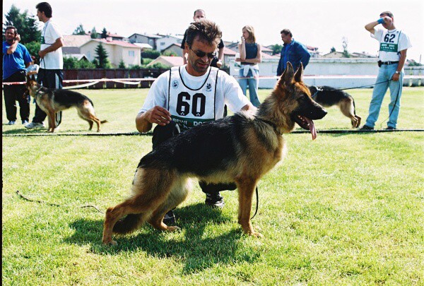 Kynologická revue - www.dogsk.sk