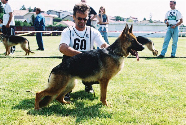 Kynologická revue - www.dogsk.sk
