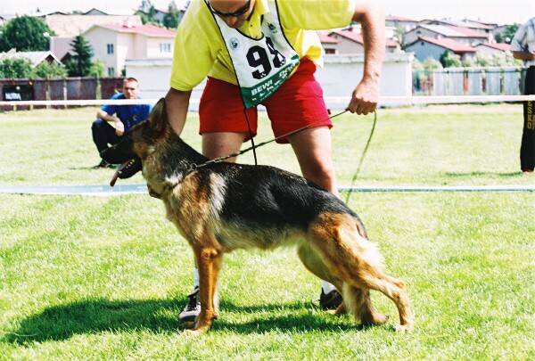 Kynologická revue - www.dogsk.sk