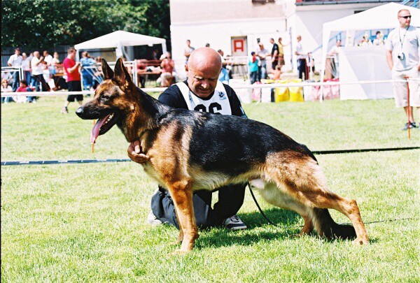 Kynologická revue - www.dogsk.sk