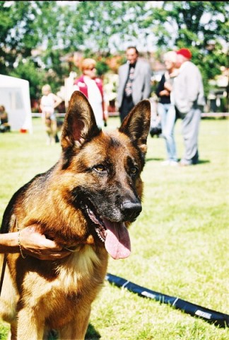 Kynologická revue - www.dogsk.sk