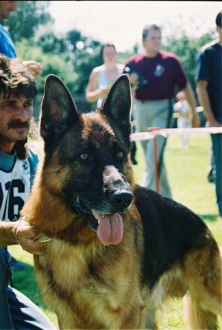Kynologická revue - www.dogsk.sk
