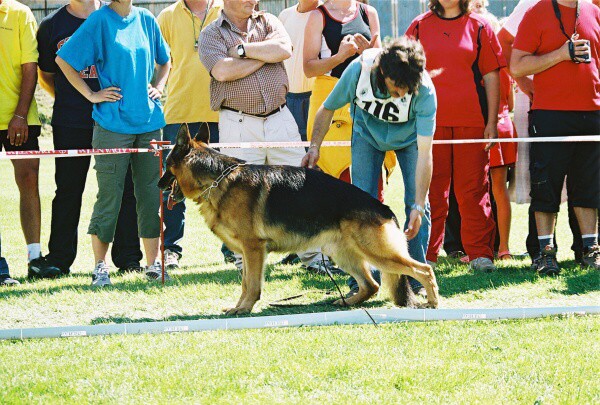 Kynologická revue - www.dogsk.sk