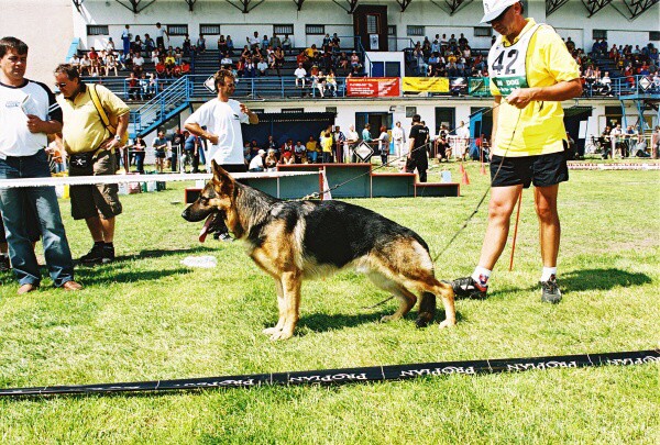 Kynologická revue - www.dogsk.sk