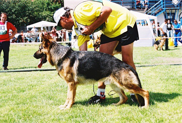 Kynologická revue - www.dogsk.sk