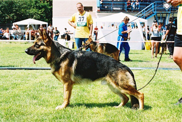 Kynologická revue - www.dogsk.sk