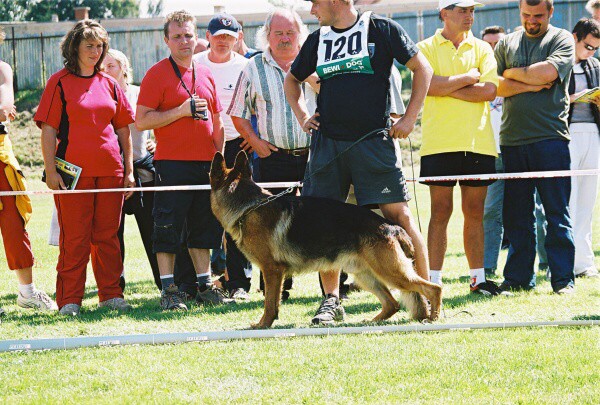 Kynologická revue - www.dogsk.sk