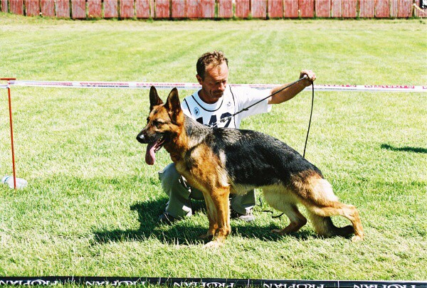 Kynologická revue - www.dogsk.sk