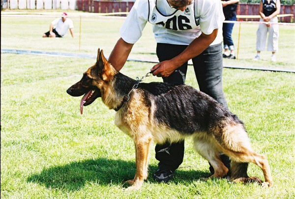 Kynologická revue - www.dogsk.sk