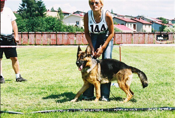 Kynologická revue - www.dogsk.sk
