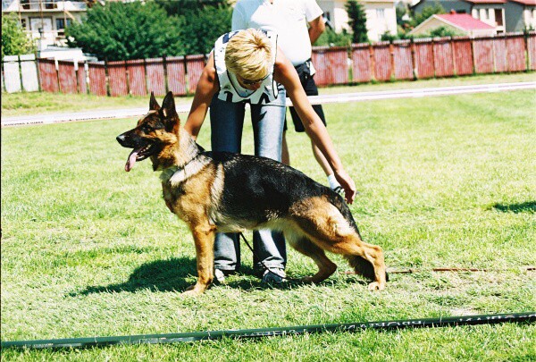 Kynologická revue - www.dogsk.sk