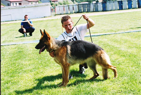 Kynologická revue - www.dogsk.sk