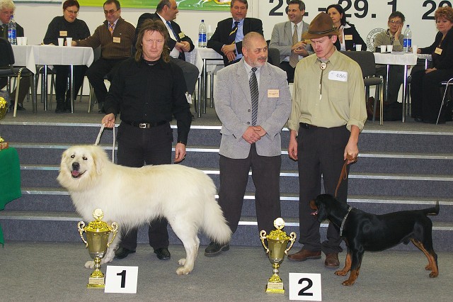 Kynologická revue - www.dogsk.sk