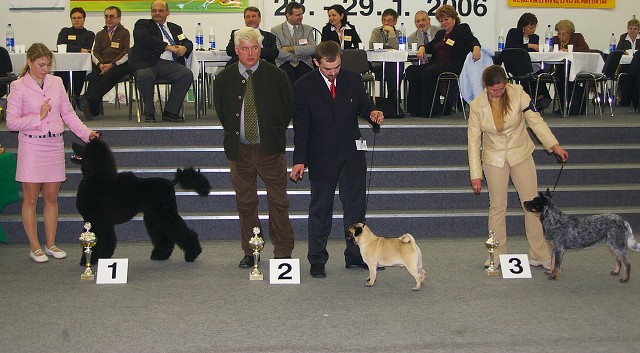Kynologická revue - www.dogsk.sk