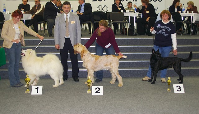 Kynologická revue - www.dogsk.sk
