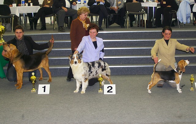 Kynologická revue - www.dogsk.sk