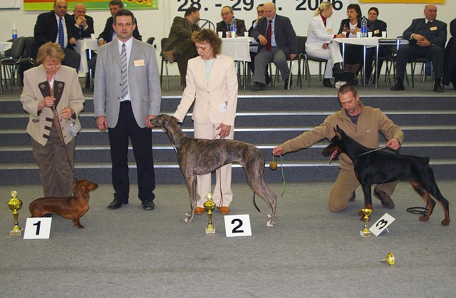 Kynologická revue - www.dogsk.sk